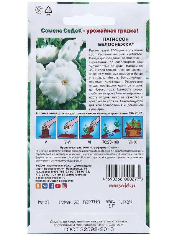 Семена Патиссон  