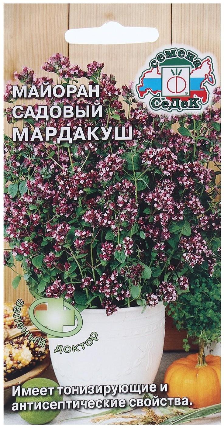 Семена Пряность  