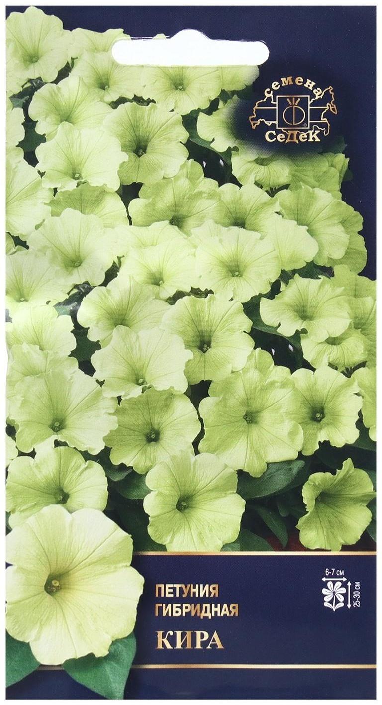 Семена Цветок Петуния 