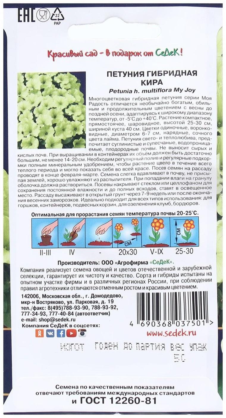 Семена Цветок Петуния 