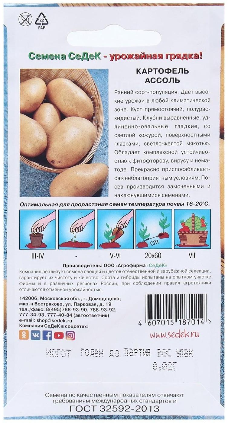 Семена Картофель  