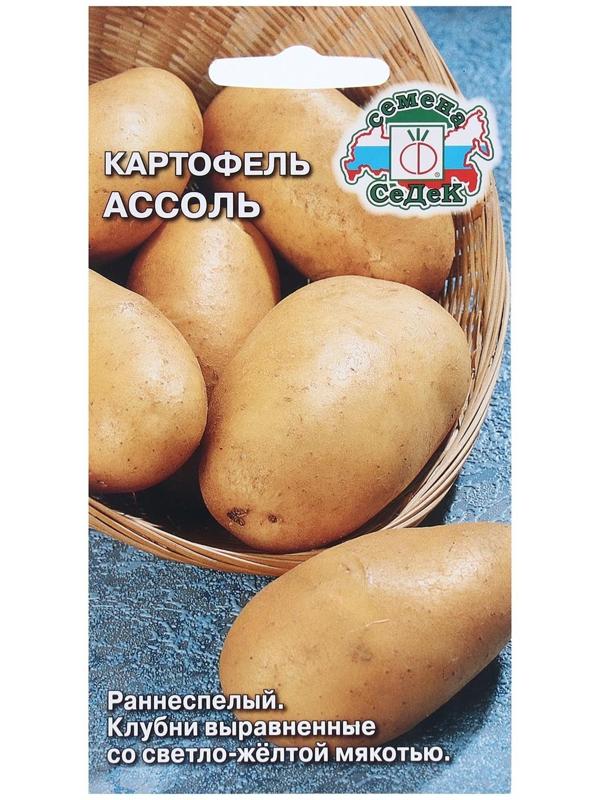 Семена Картофель  
