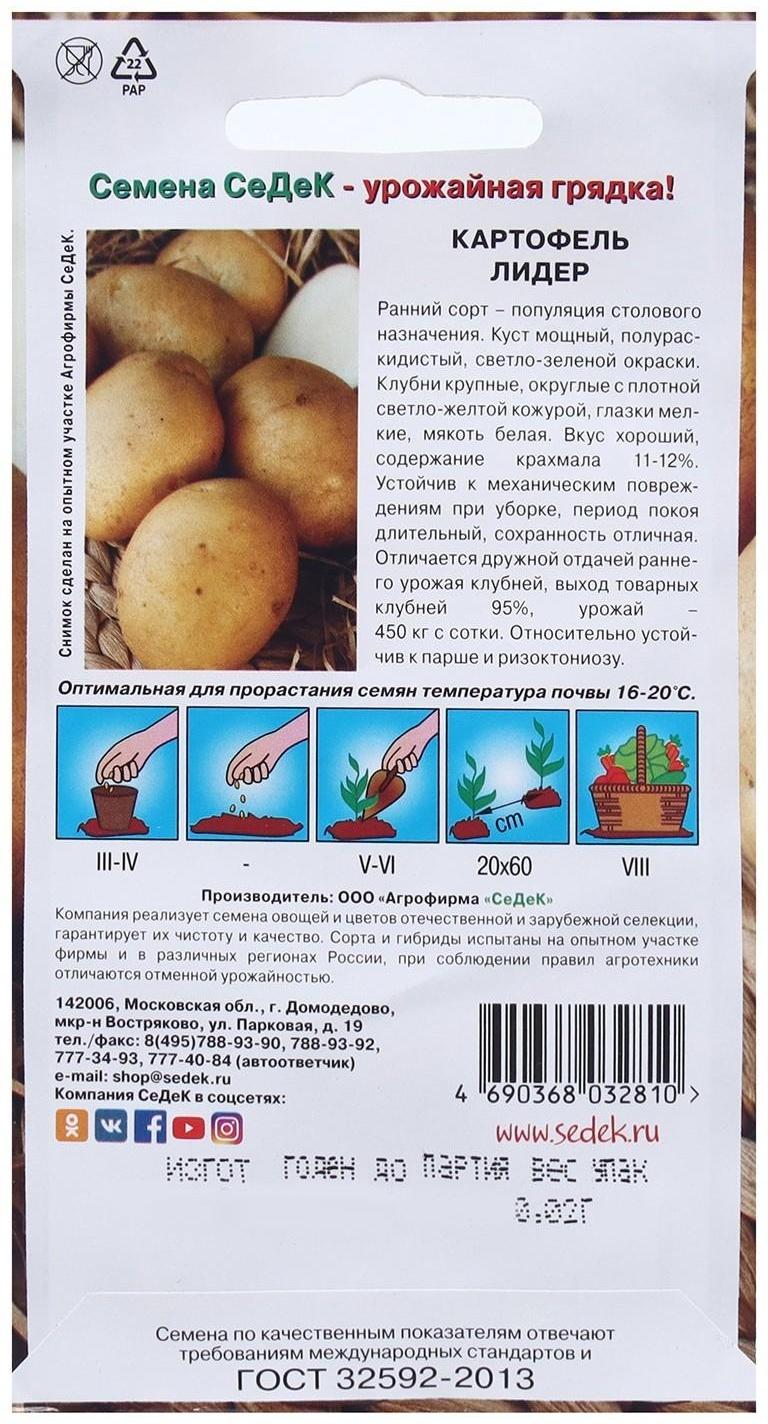 Семена Картофель  