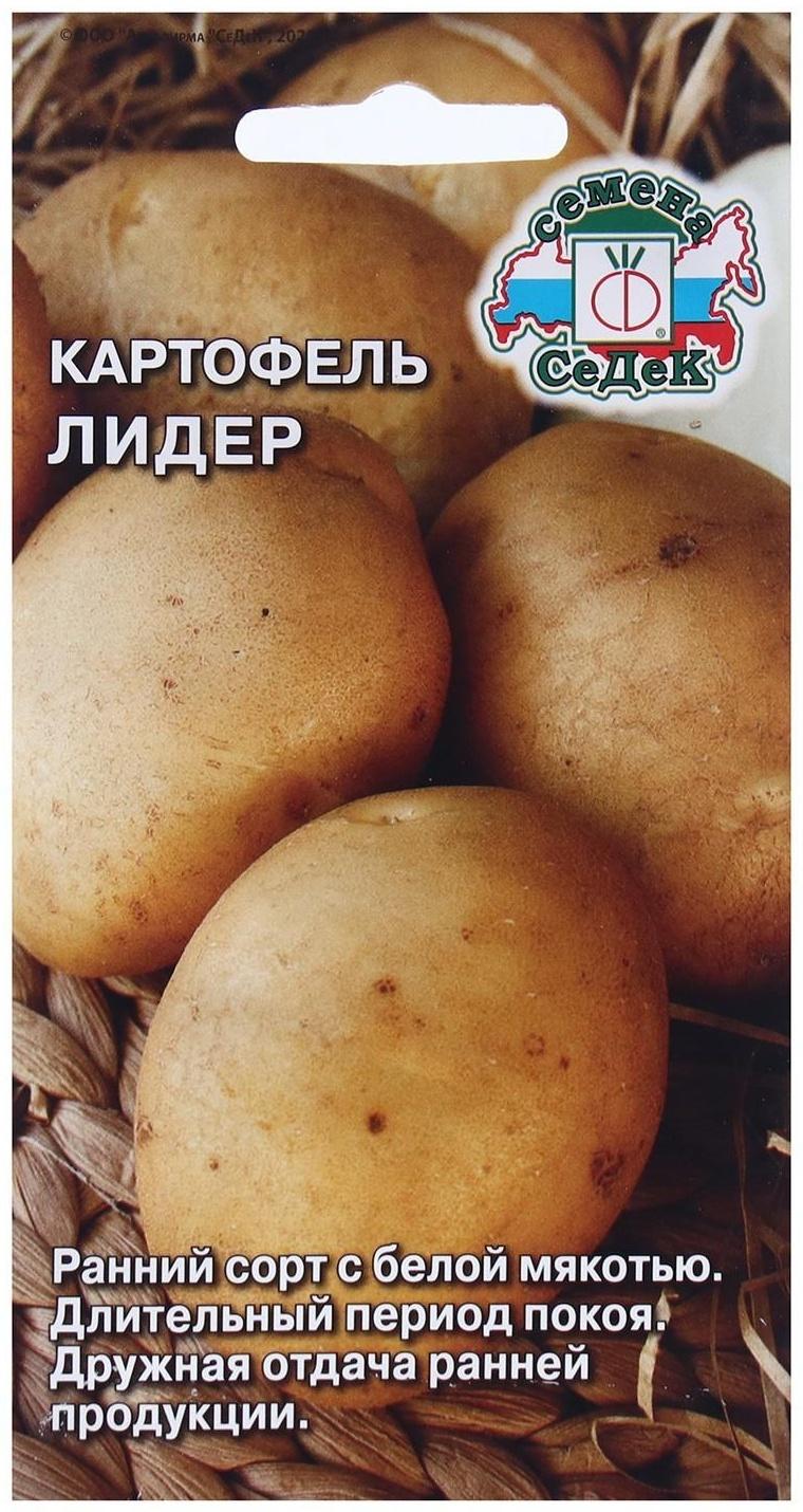 Семена Картофель  