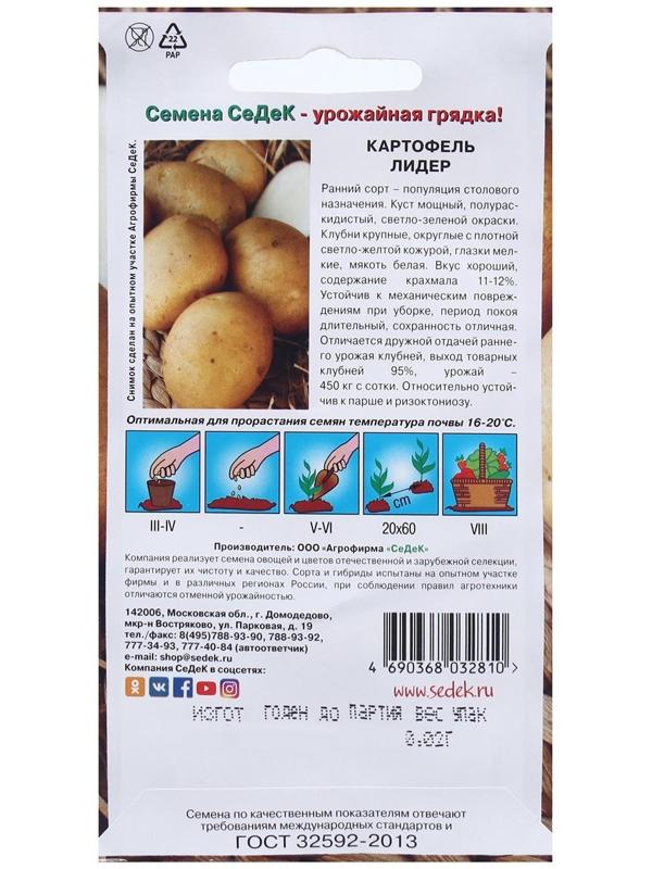 Семена Картофель  