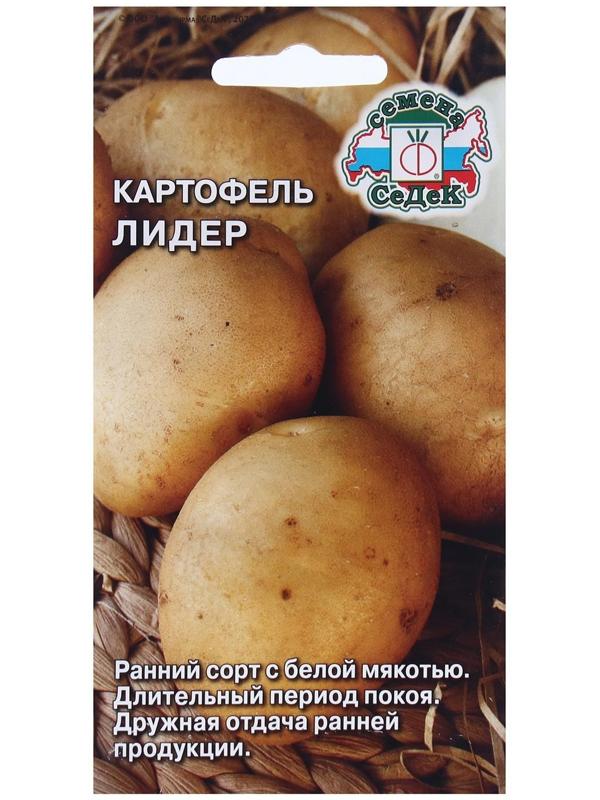 Семена Картофель  