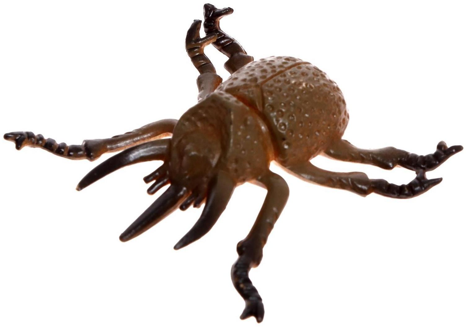 Набор насекомых «Жуки», 6 шт.