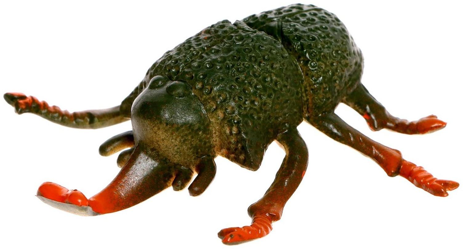 Набор насекомых «Жуки», 6 шт.