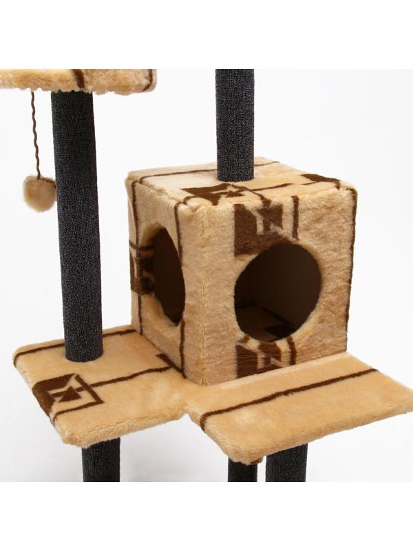 Комплекс для кошек 