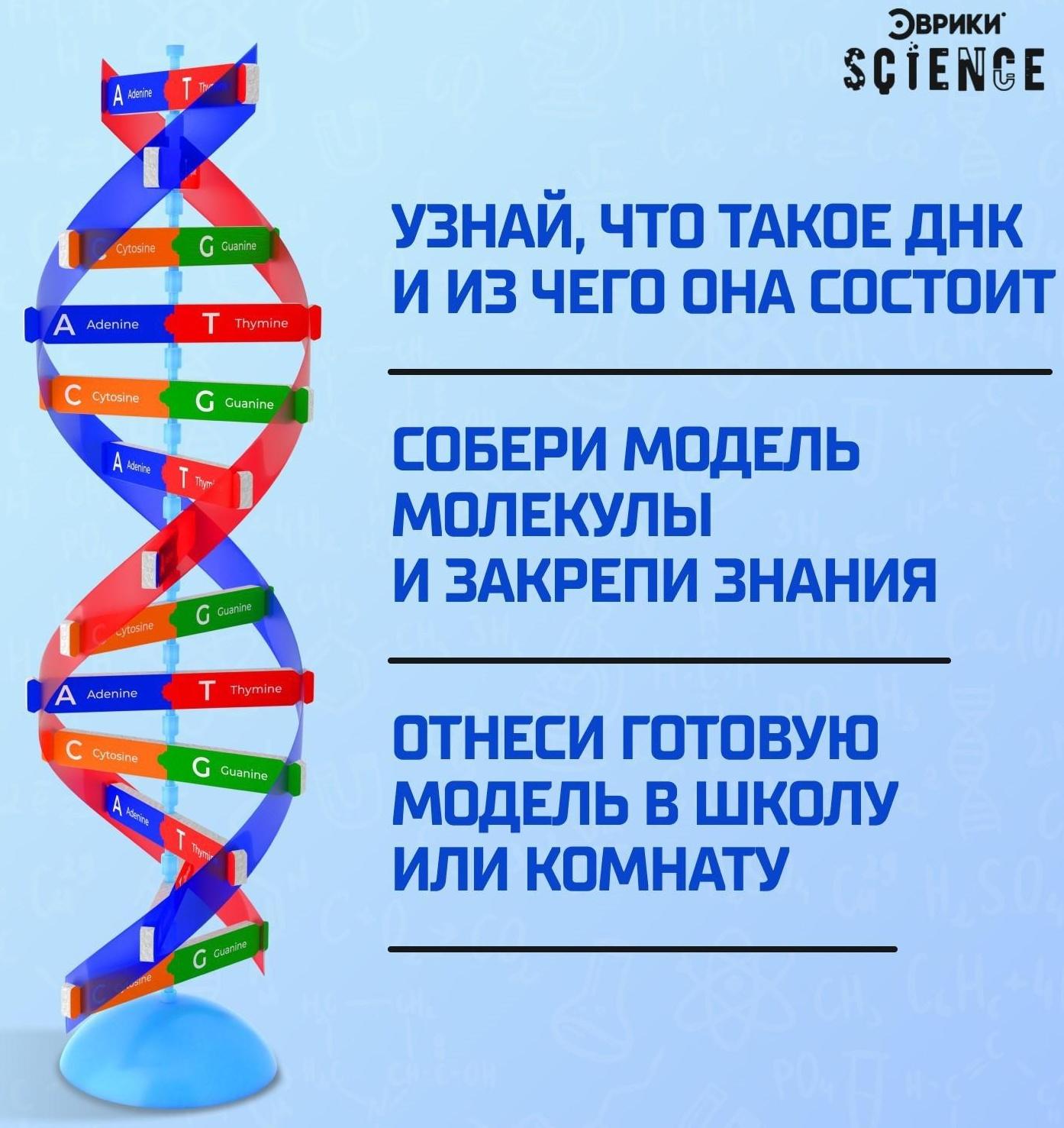 Набор для опытов «Молекула ДНК»