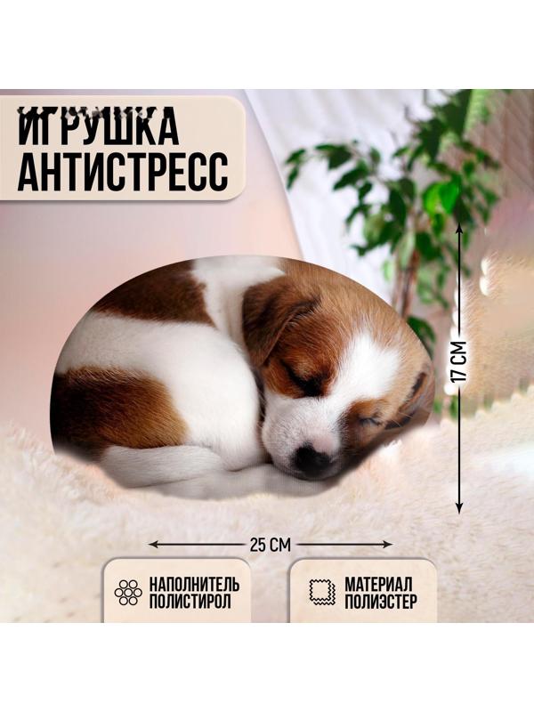 Игрушка антистресс 