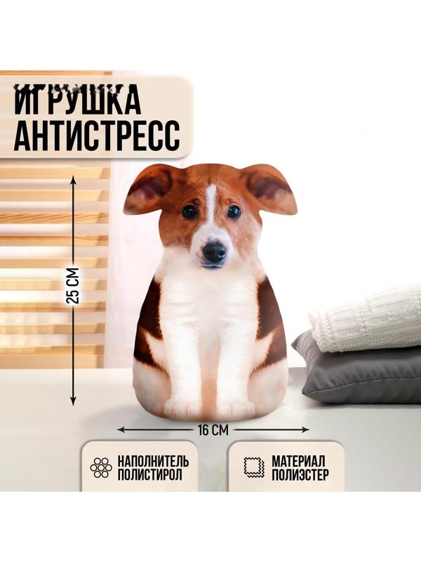 Игрушка антистресс 