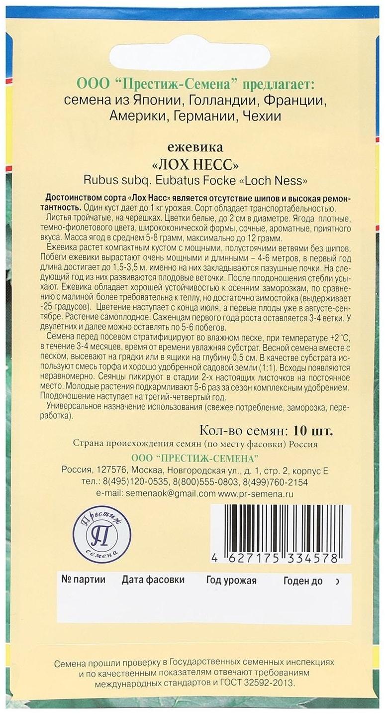 Семена Ежевика ремонтантная 