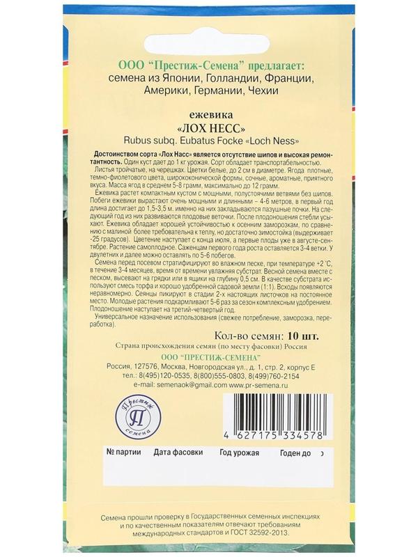 Семена Ежевика ремонтантная 