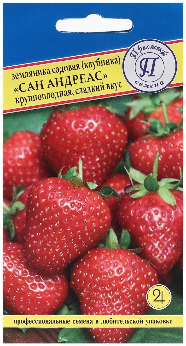 Семена Земляника рем крупн 