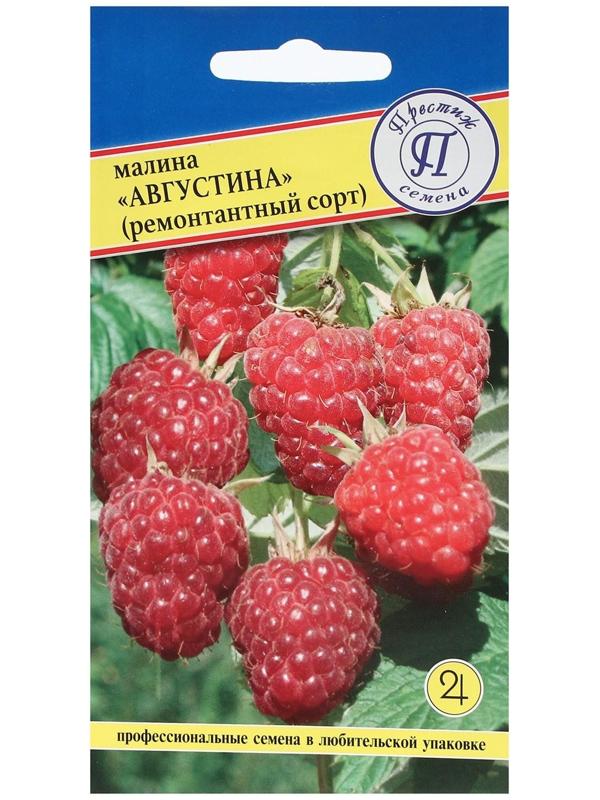 Семена Малина ремонтантная 