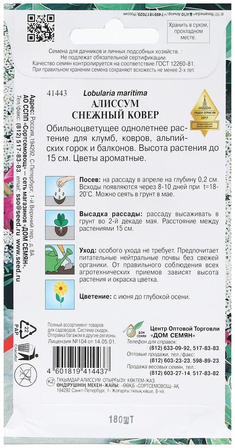 Семена Алиссум 