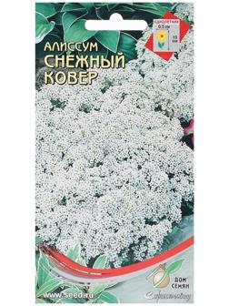 Семена Алиссум 