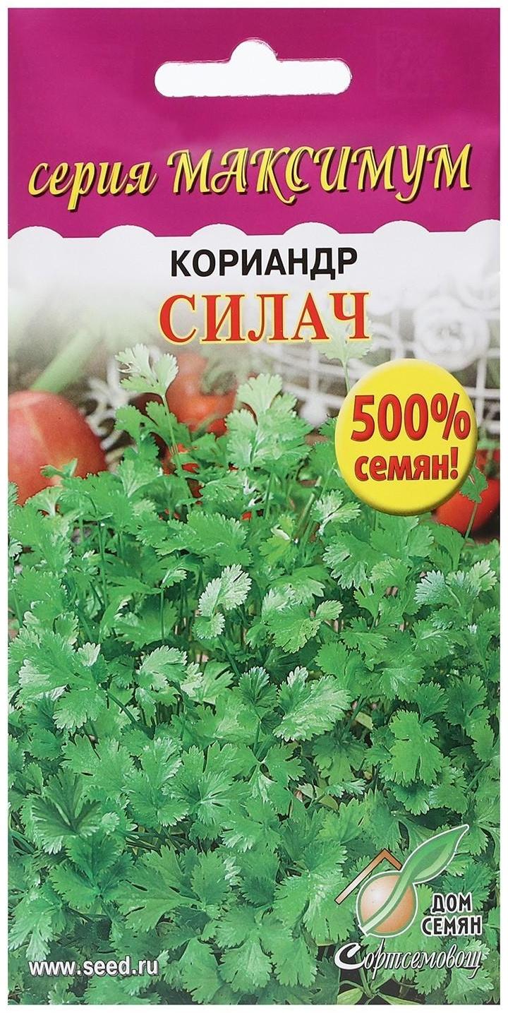 Семена Кориандр 