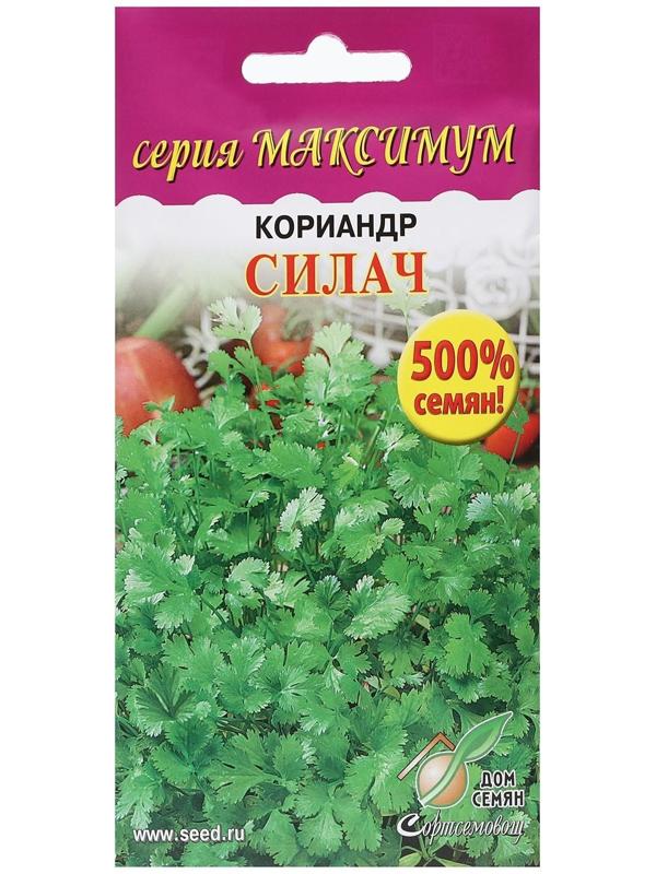 Семена Кориандр 