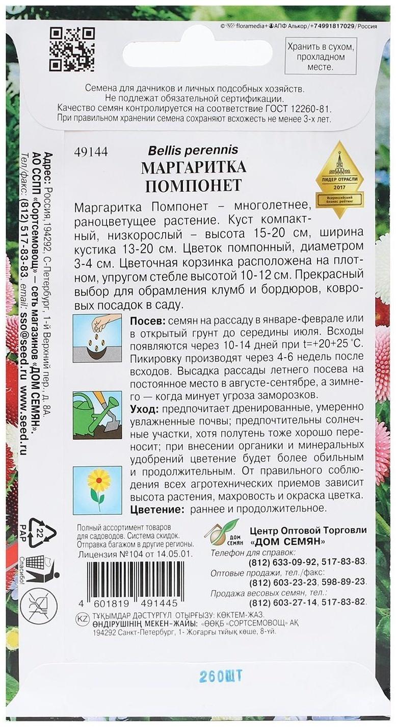 Семена Маргаритка 