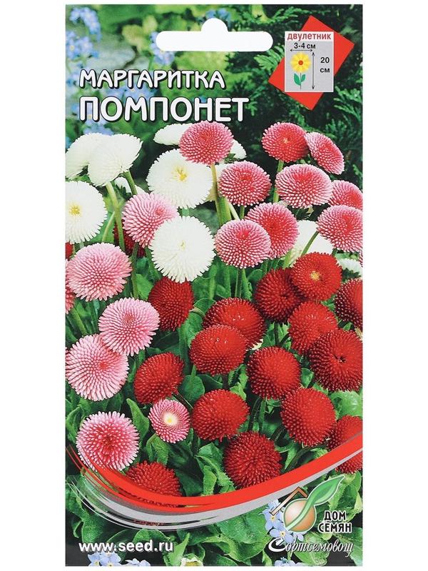 Семена Маргаритка 