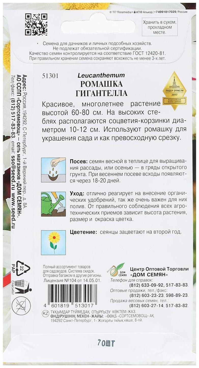 Семена Ромашка 