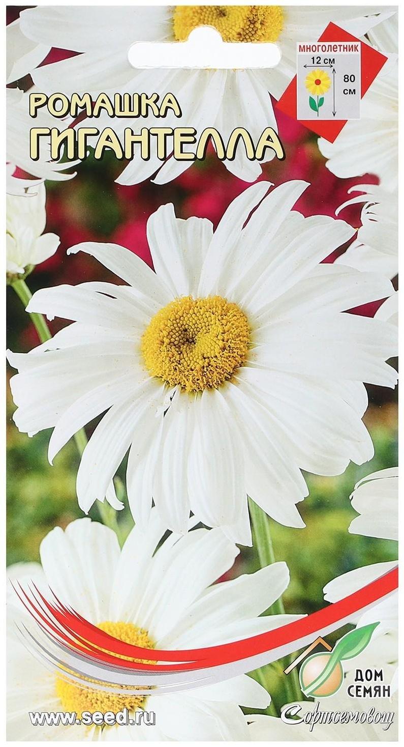 Семена Ромашка 