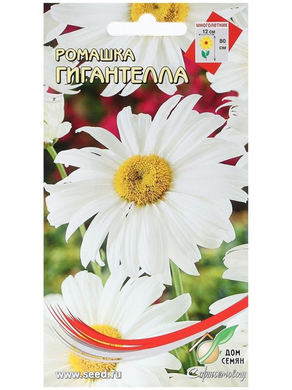 Семена Ромашка 