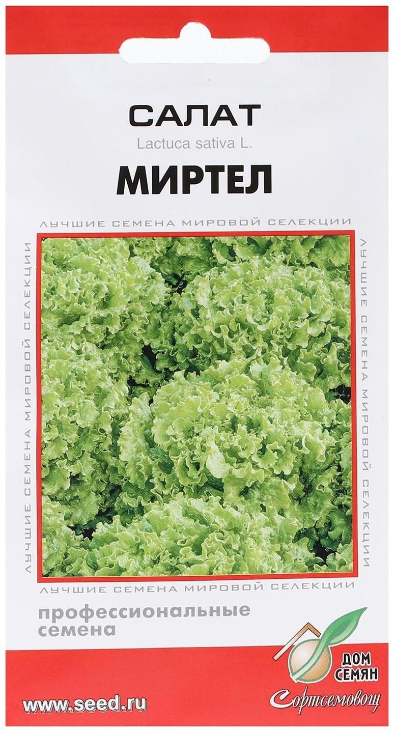 Семена Салат 