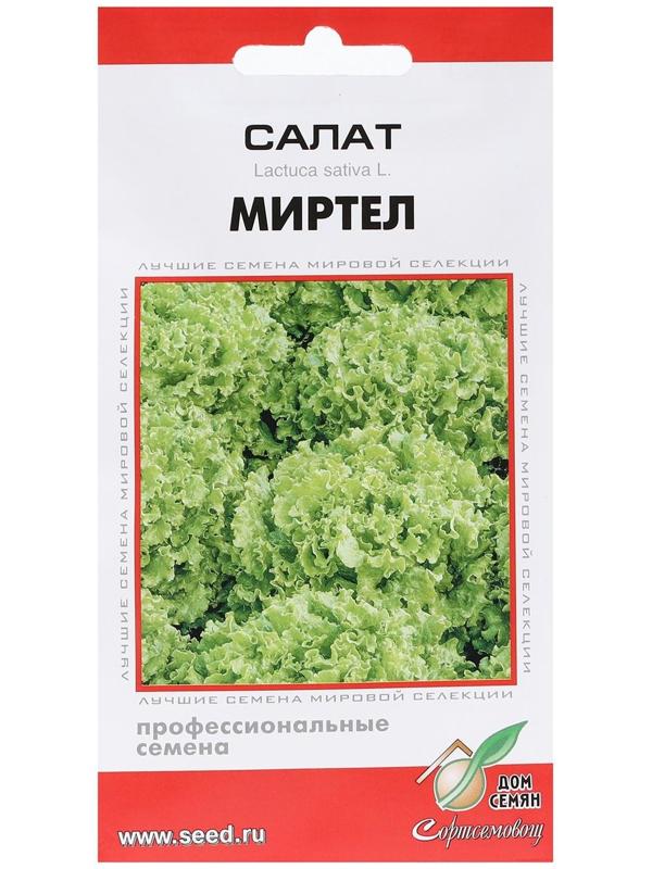 Семена Салат 