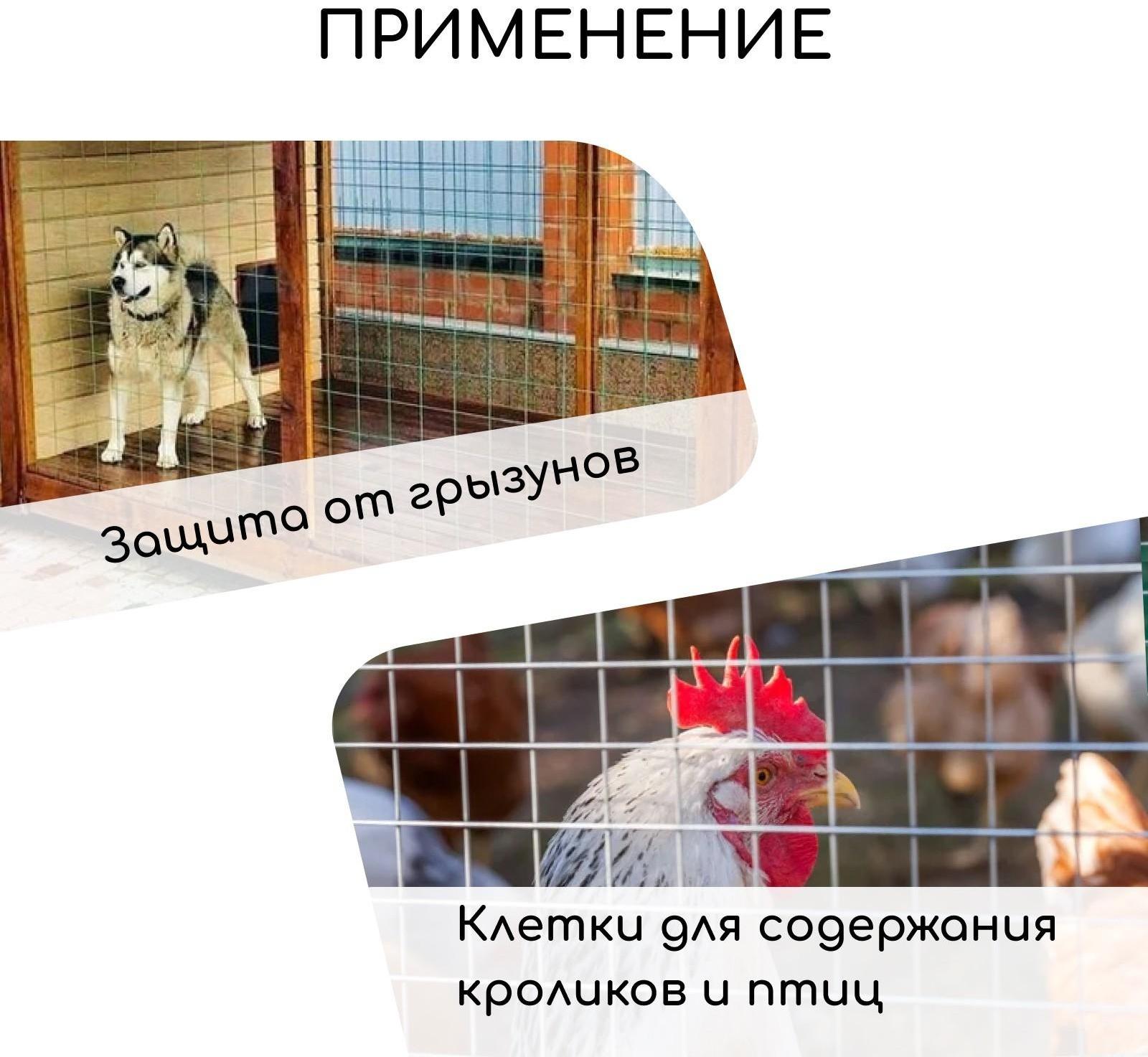 Сетка оцинкованная, сварная, 10 × 0,5 м, ячейка 50 × 50 мм, d = 0,7 мм, Greengo