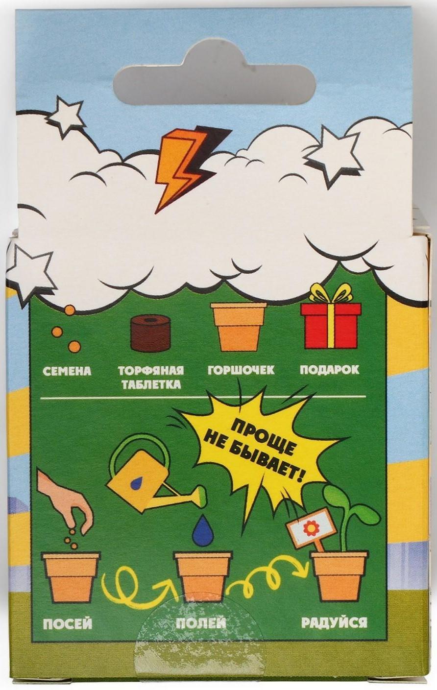 Набор для выращивания микрозелени «Натуральные Герои», укроп