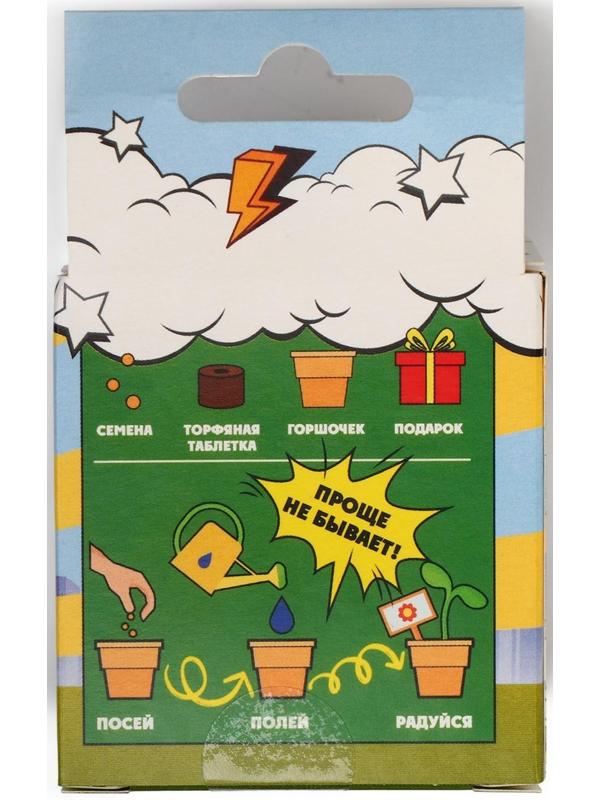 Набор для выращивания микрозелени «Натуральные Герои», укроп