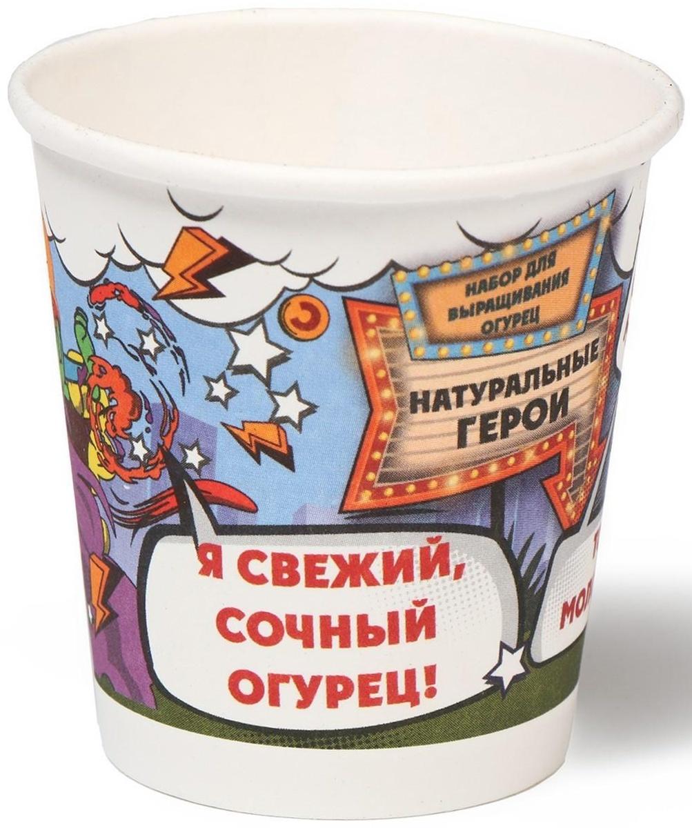 Набор для выращивания микрозелени «Натуральные Герои», огурец