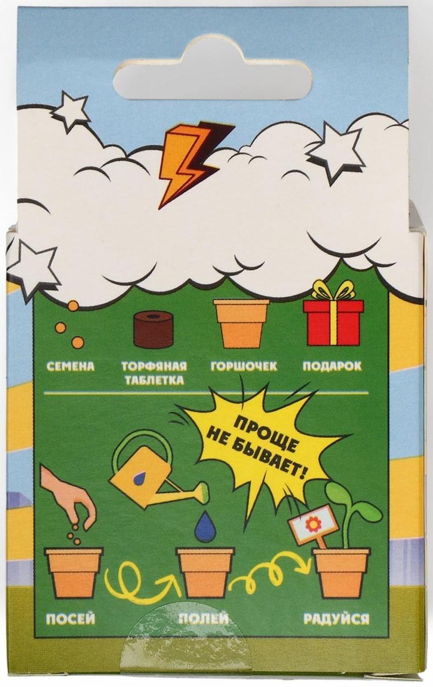 Набор для выращивания микрозелени «Натуральные Герои», огурец