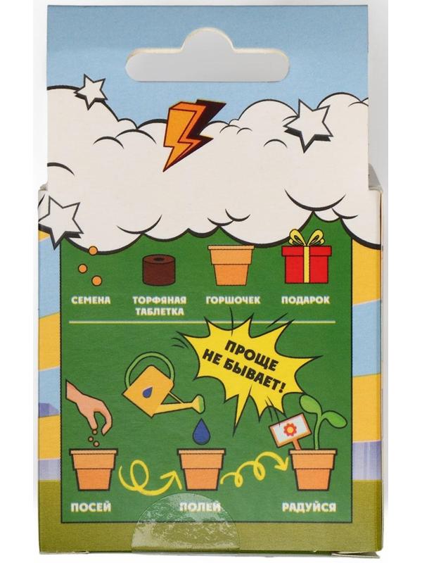 Набор для выращивания микрозелени «Натуральные Герои», огурец