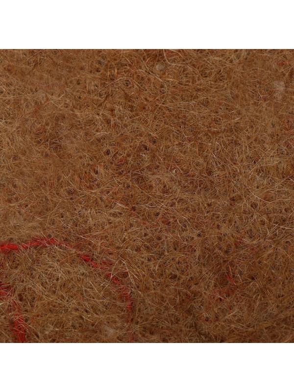 Набор для выращивания микрозелени: семена Кориандр, лоток, джутовый коврик