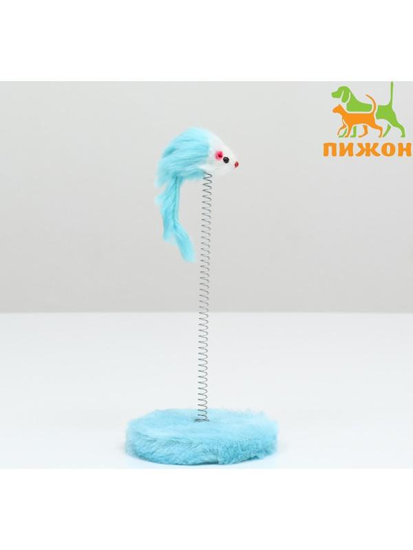 Дразнилка для кошек на пружине с мышью (5 см), 10,5 х 23 см, голубая