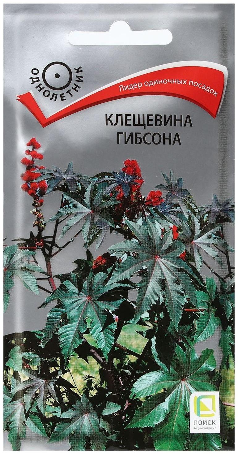 Семена цветов Клещевина 