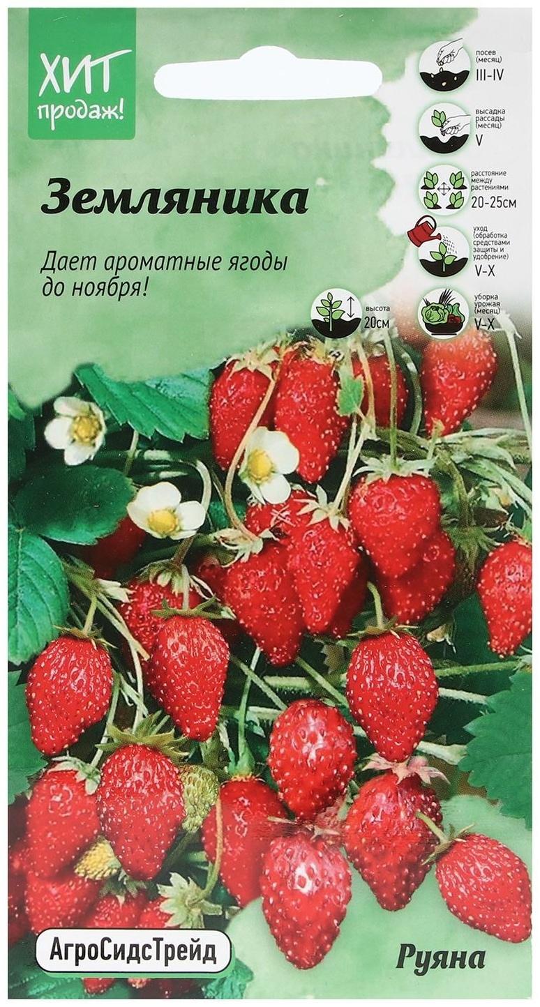 Семена Земляника 