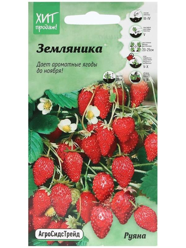 Семена Земляника 