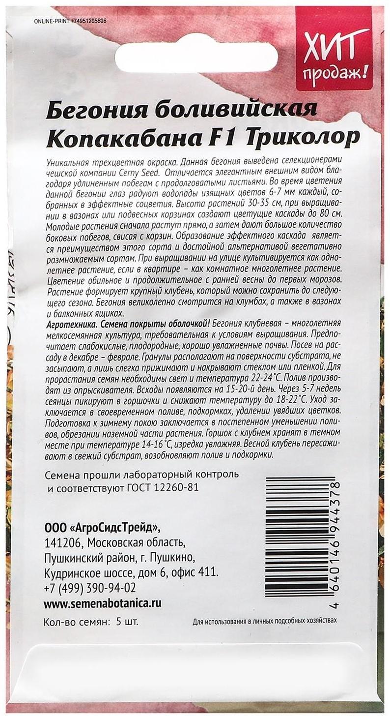 Семена Цветов  Бегония 