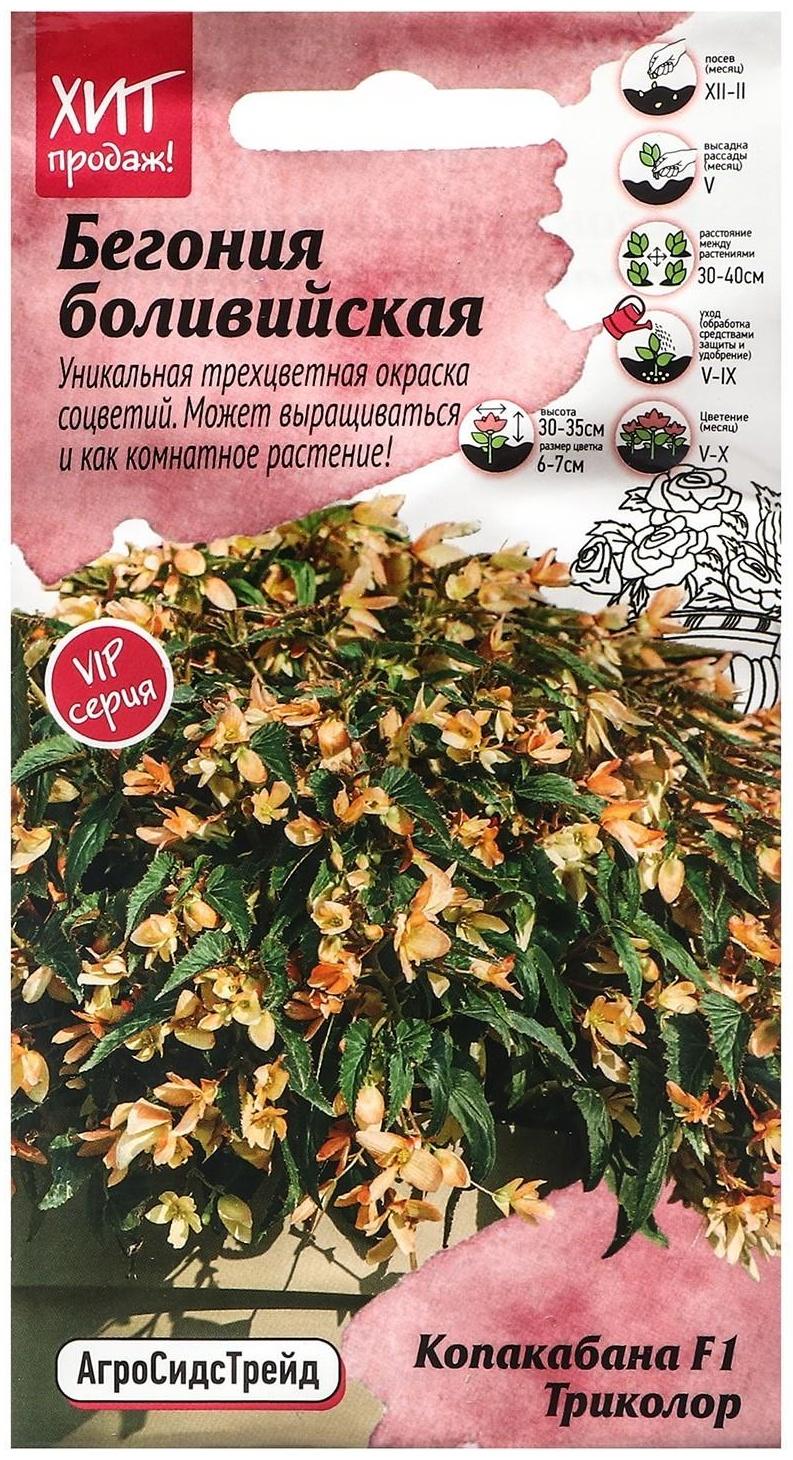 Семена Цветов  Бегония 