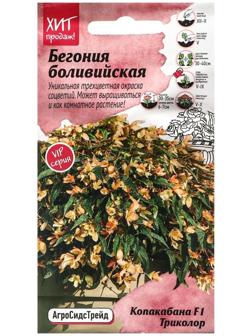 Семена Цветов  Бегония 