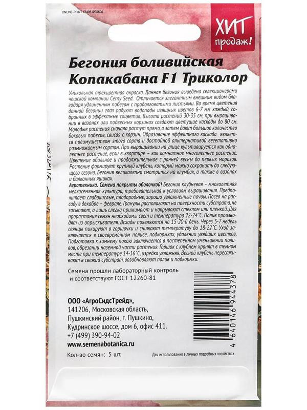 Семена Цветов  Бегония 