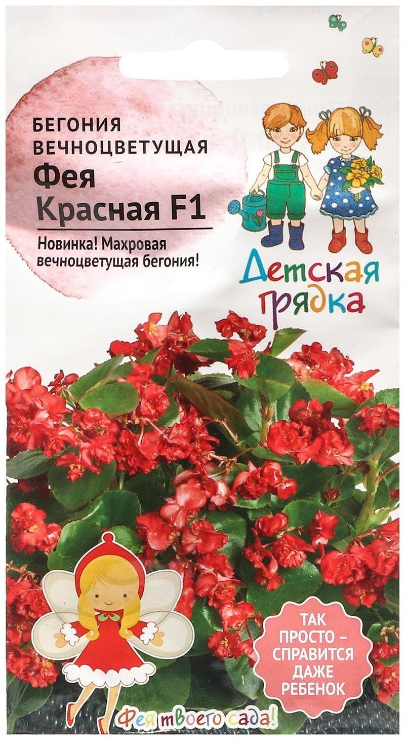 Семена Цветов Бегония 