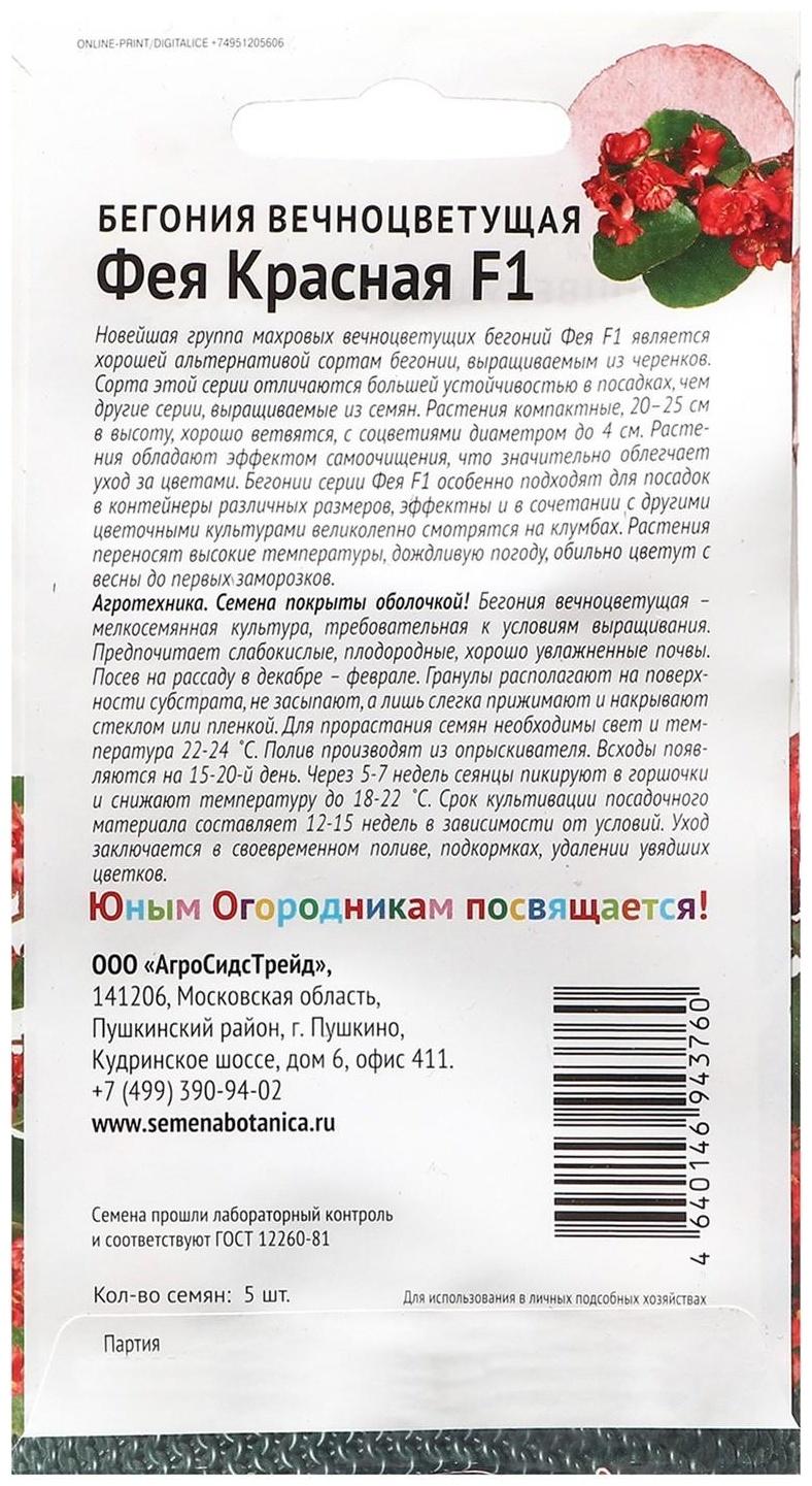 Семена Цветов Бегония 