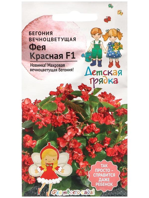 Семена Цветов Бегония 