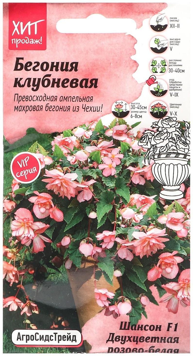 Семена Цветов Бегония 